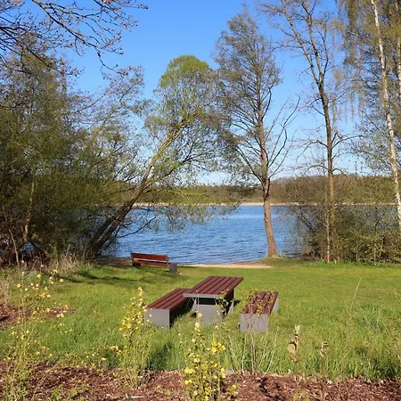 Strandlaufer Malchow (Mecklenburg-Vorpommern)